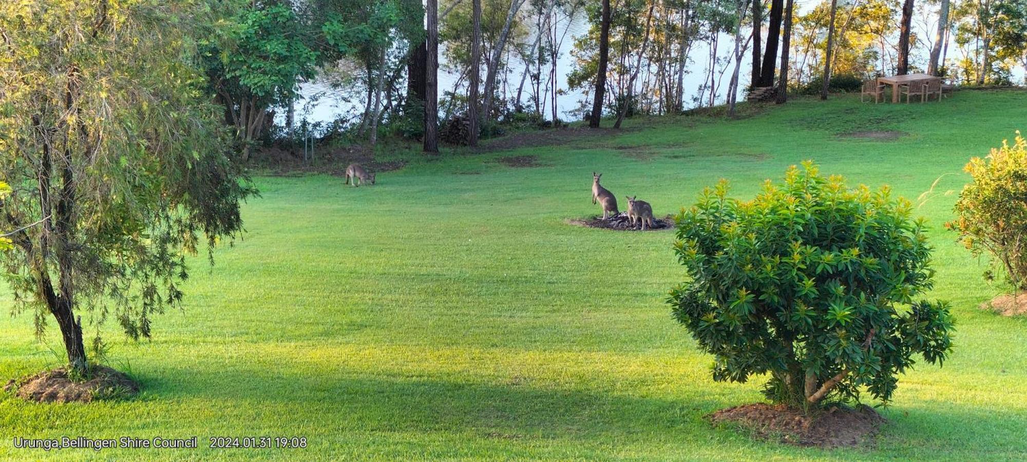 The Glade, Peace Among The Trees On The River Villa Urunga Exterior photo